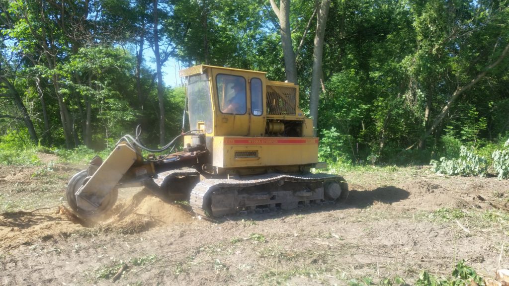 Stump Grinder West Michigan Tree Services