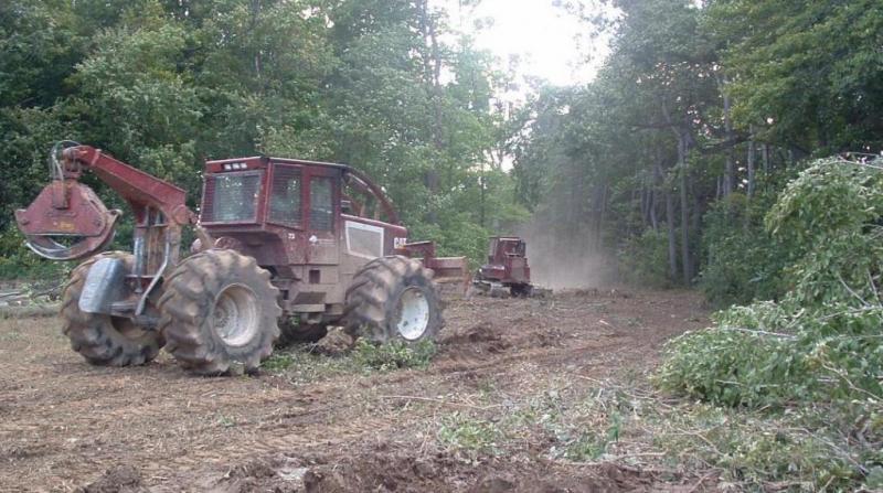 Land Clearing Safe Tree Removals West Michigan Tree Services